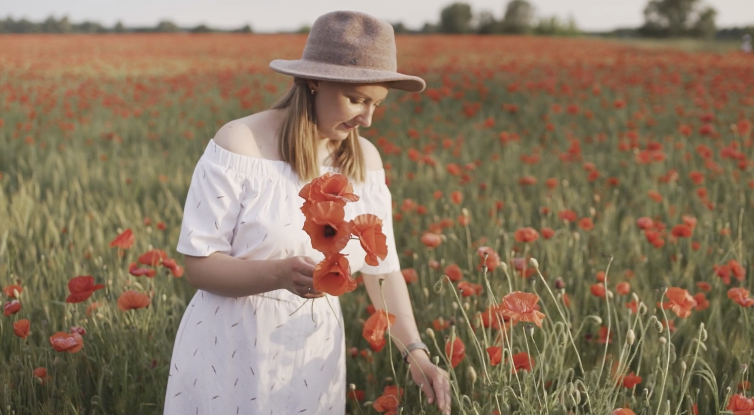 selling wildflowers